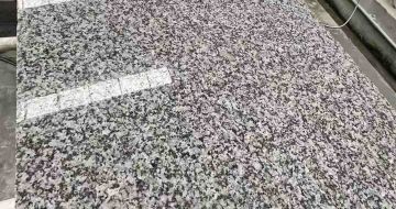 茂名 芙蓉白光面