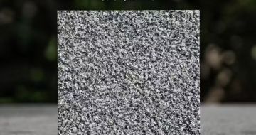 茂名 芝麻黑荔枝面