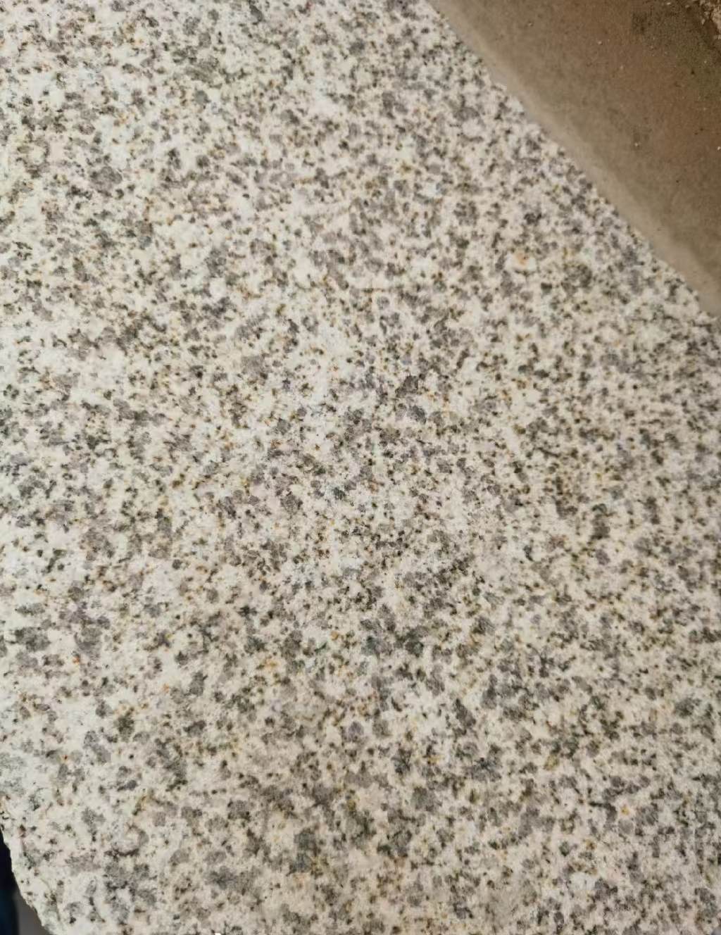 茂名 黄金麻中黄光面