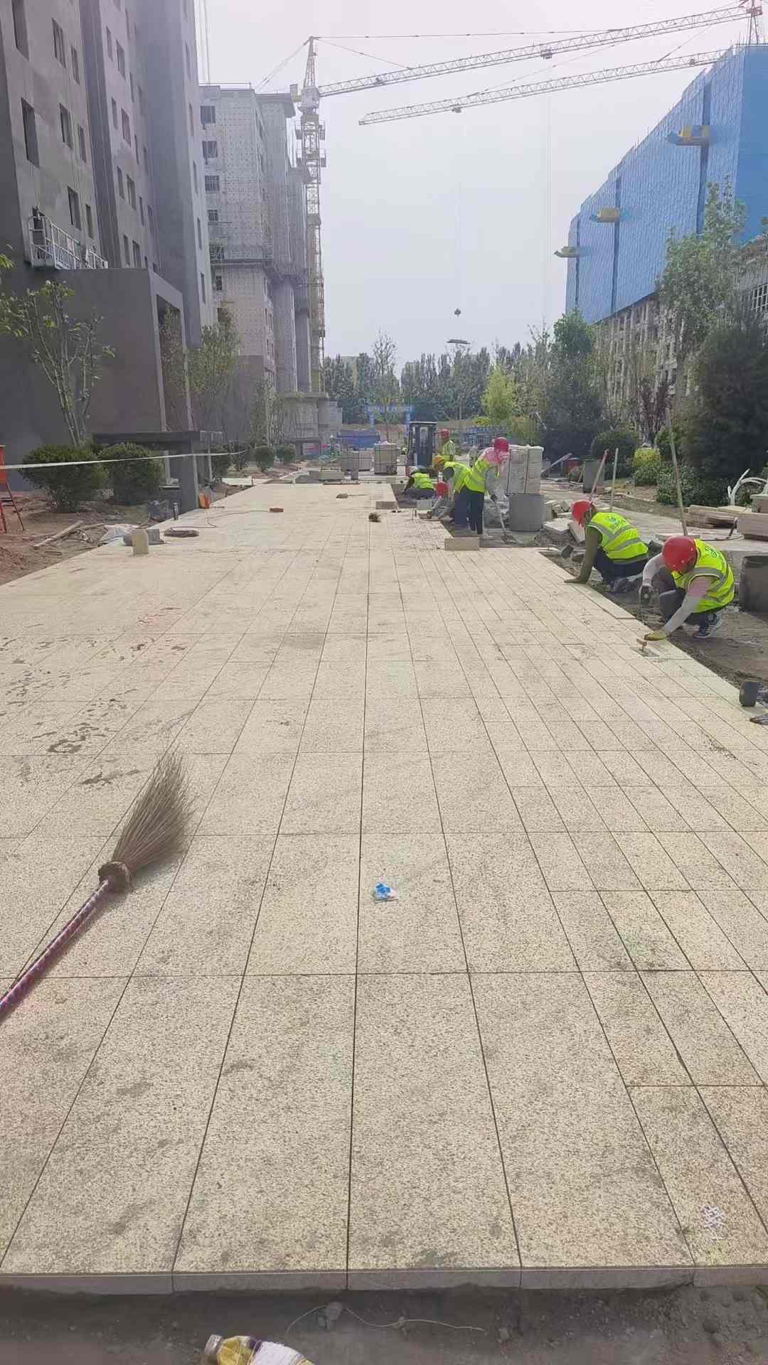 茂名黄金麻荔枝面地铺案例